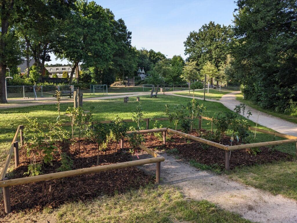 PXL_20250621_165954565